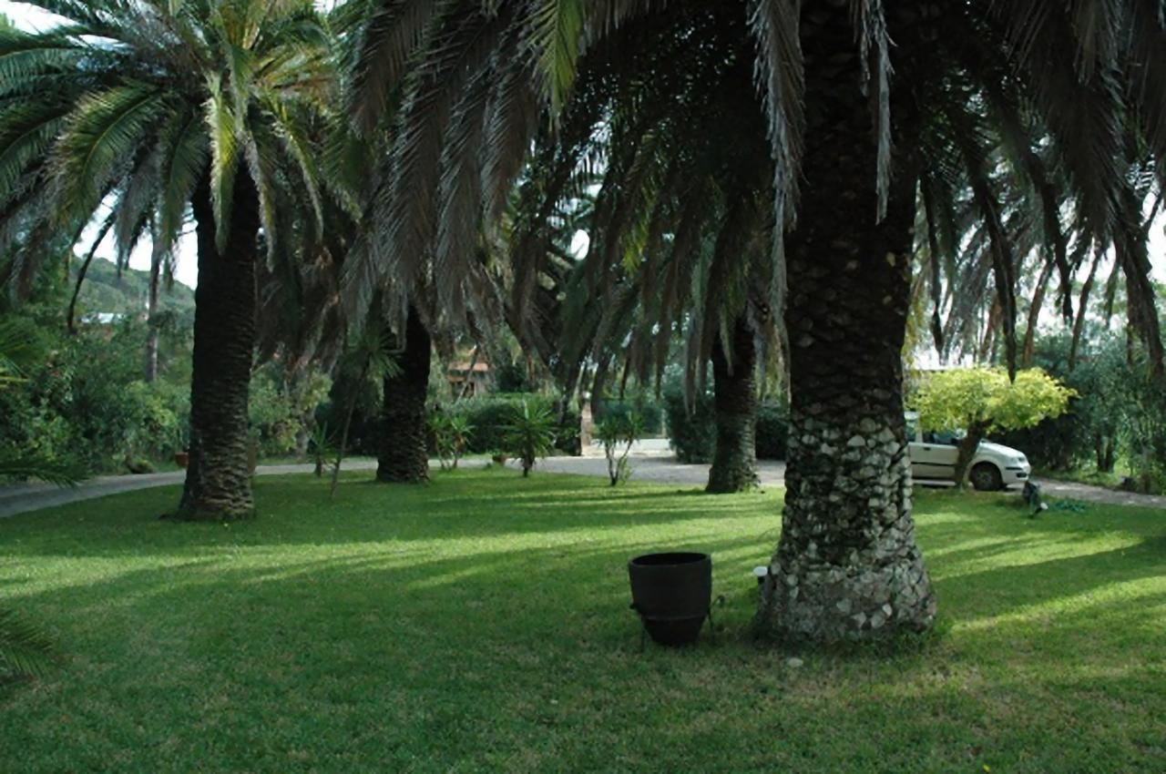 Le Palme Διαμέρισμα Capoliveri  Εξωτερικό φωτογραφία