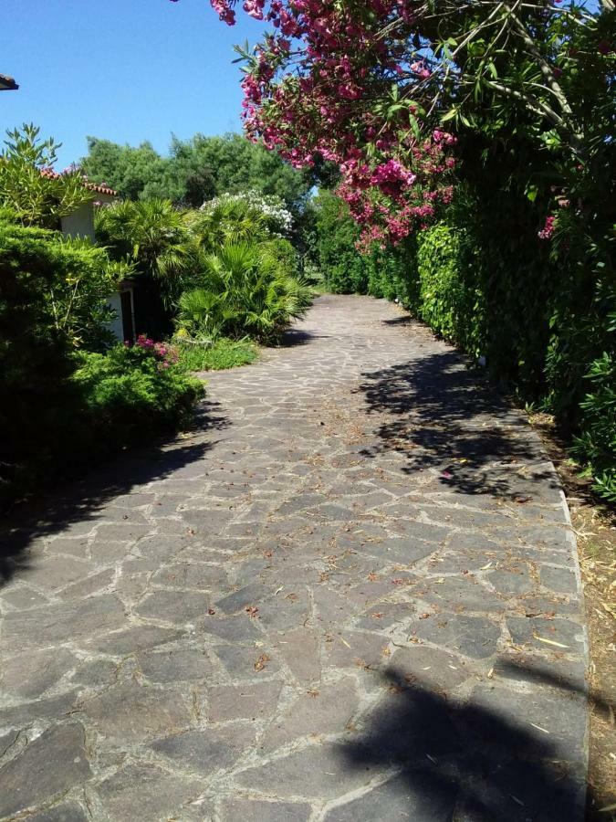 Le Palme Διαμέρισμα Capoliveri  Εξωτερικό φωτογραφία