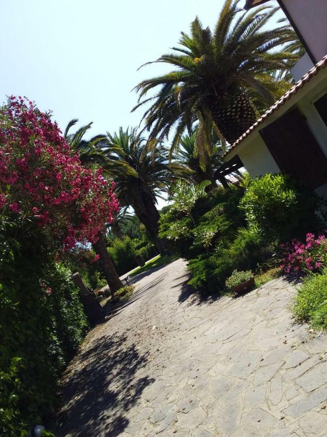 Le Palme Διαμέρισμα Capoliveri  Εξωτερικό φωτογραφία