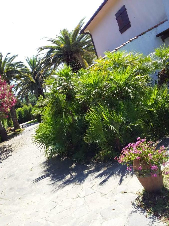 Le Palme Διαμέρισμα Capoliveri  Εξωτερικό φωτογραφία