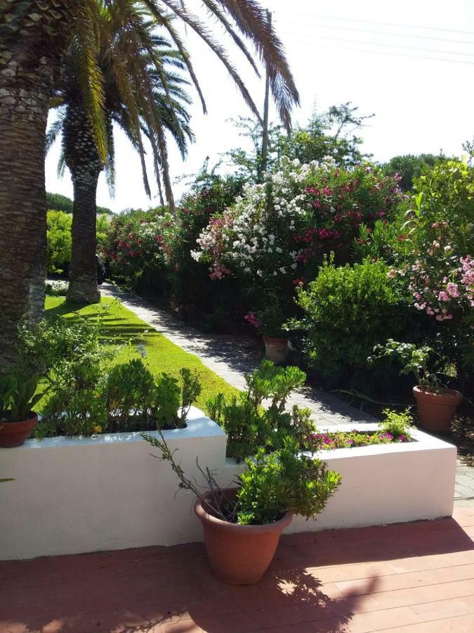Le Palme Διαμέρισμα Capoliveri  Εξωτερικό φωτογραφία