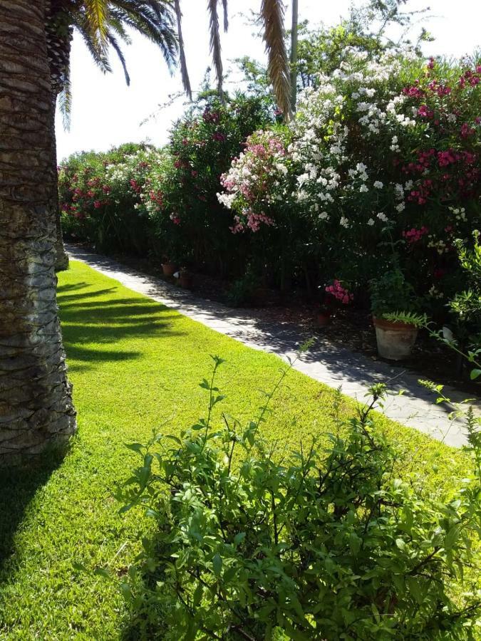 Le Palme Διαμέρισμα Capoliveri  Εξωτερικό φωτογραφία